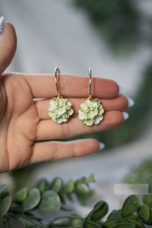 Limelight Hydrangea Hoops