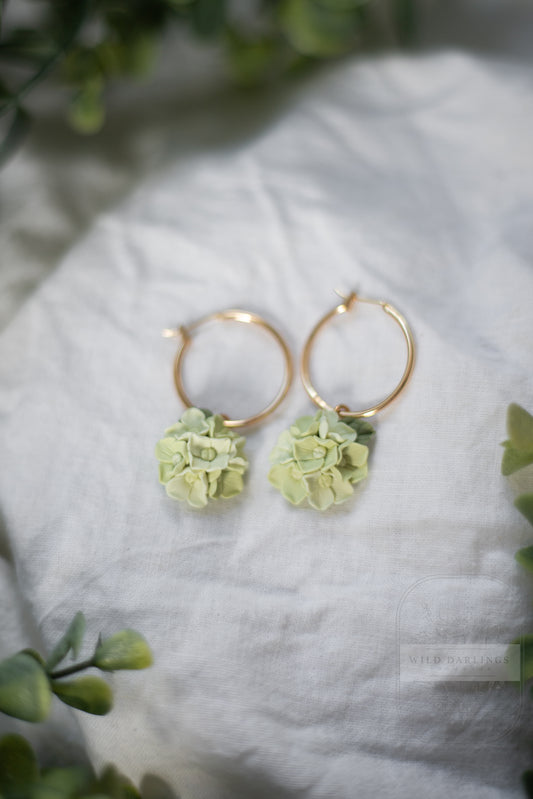 Limelight Hydrangea Hoops