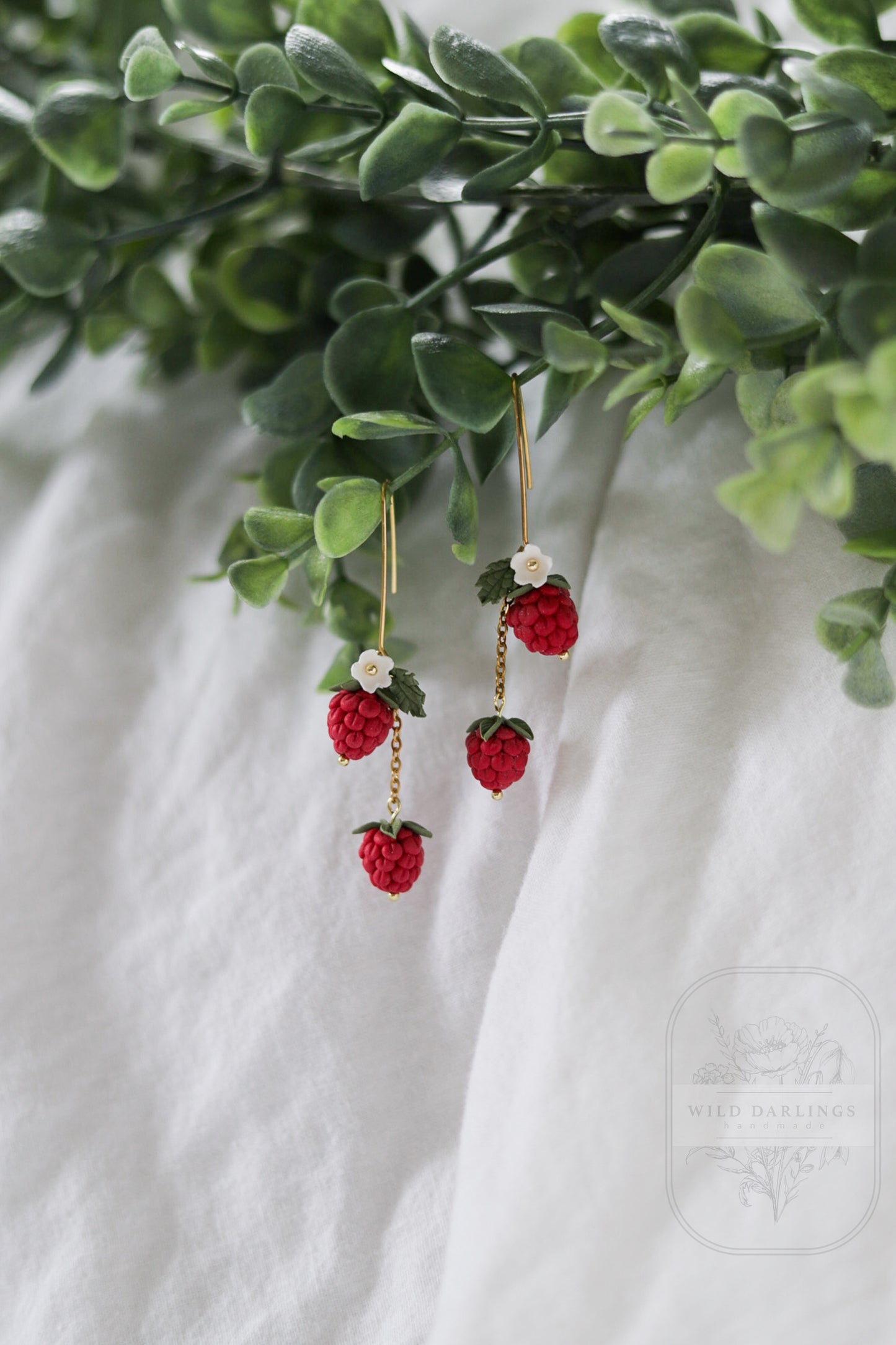 The Raspberry Patch